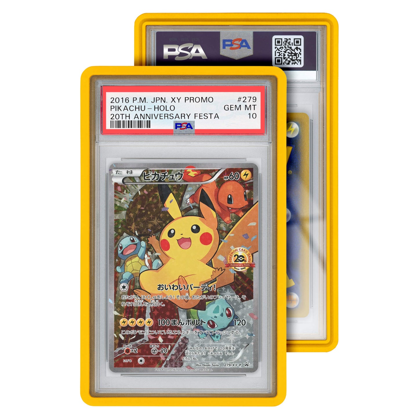 Standard Case (PSA)